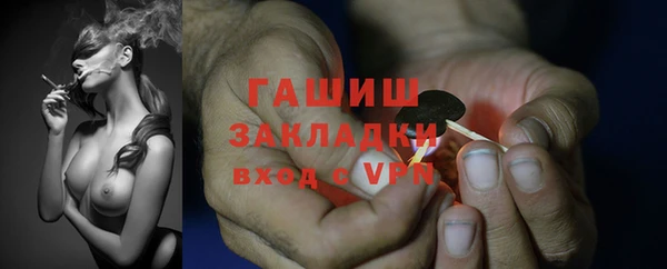 гидра Абаза
