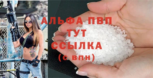 гидра Абаза