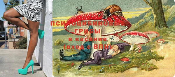 прущие грибы Абдулино