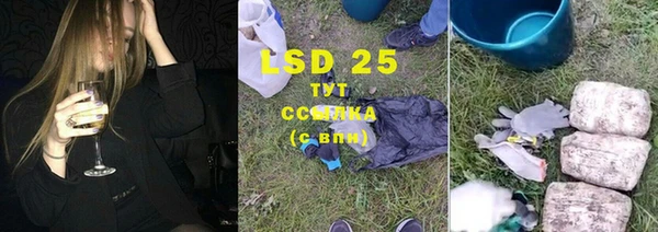 гидра Абаза