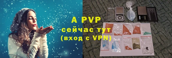 прущие грибы Абдулино