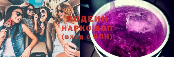 гидра Абаза