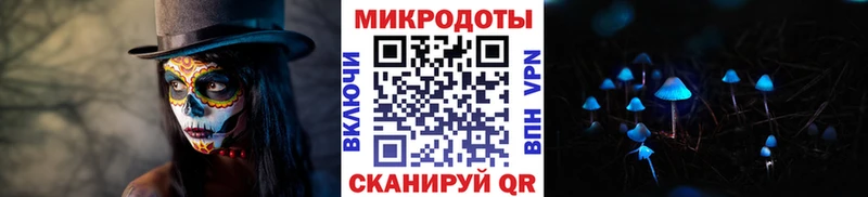 Псилоцибиновые грибы MAGIC MUSHROOMS blacksprut как войти Судогда закладки