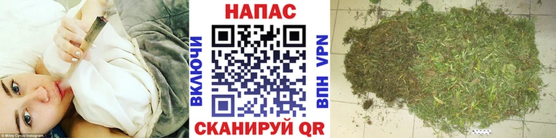 ОМГ ОМГ сайт  Судогда  Бошки Шишки White Widow  купить наркотики цена 